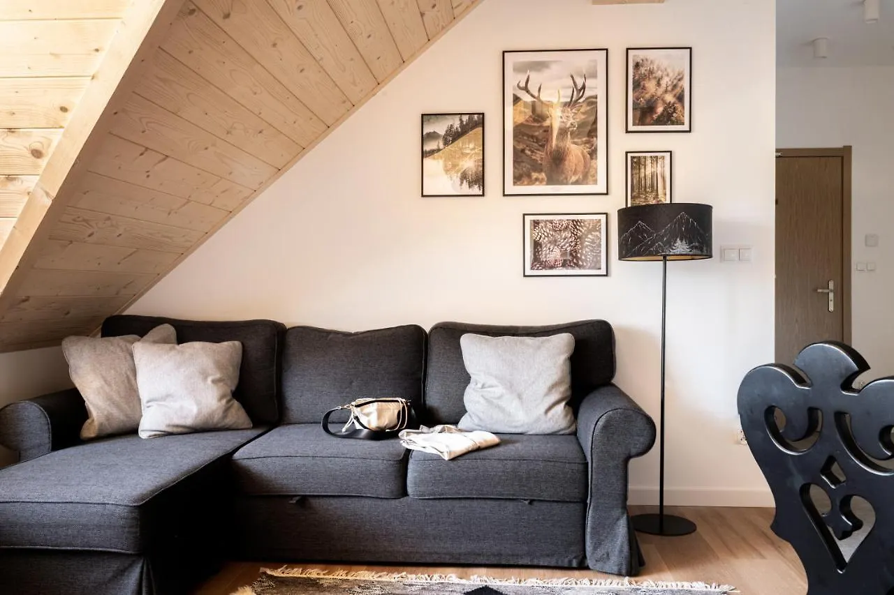 Apartamenty Pod Stokiem Nosal Ζακοπάνε Διαμέρισμα